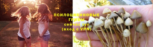 молекула духа Беломорск