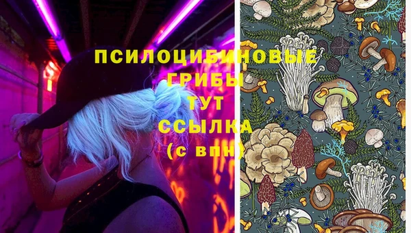 а пвп мука Богданович